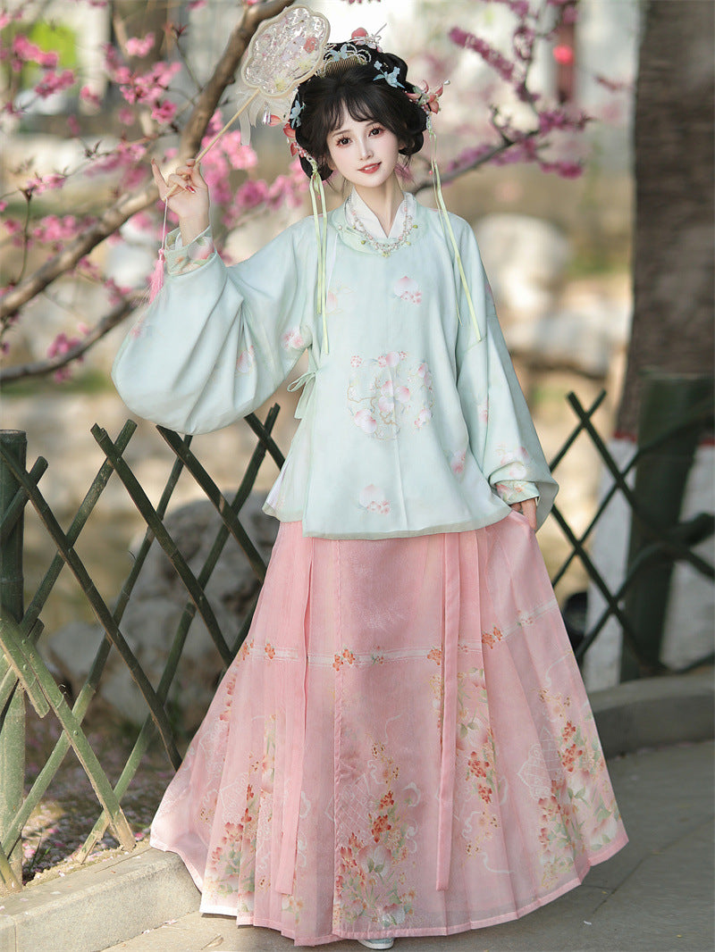 Chinese Style Hanfu Set | Modified Dajin Top & Horse-Face Skirt