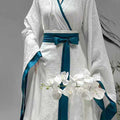Wei-Jin and Warring States Style Hanfu Set