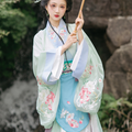 Modernized Cross-Collar Ruqun Set with Wrap Skirt (Wei-Chang) in Chinese Style