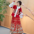 Aoqun Skirt Set, Autumn/Winter Improved Thickened New Year Outfit, Mamian Skirt