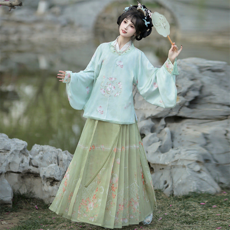 Chinese Style Hanfu Set | Modified Dajin Top & Horse-Face Skirt